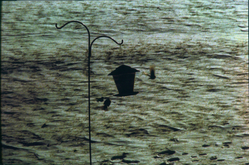 Illustration for article titled Here it is. My first roll of film.
